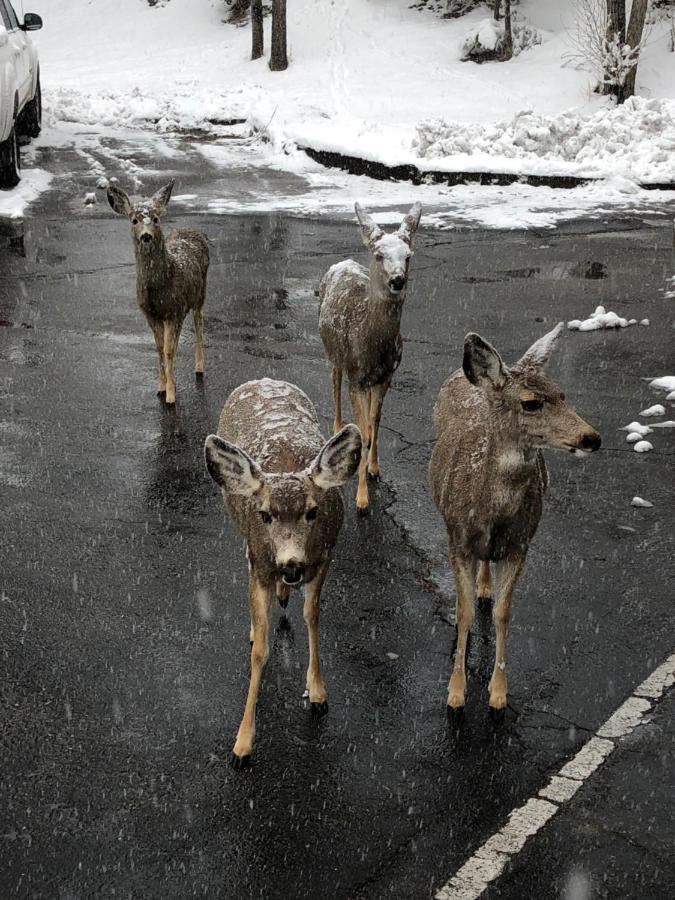  | 4 Seasons Inn on Fall River