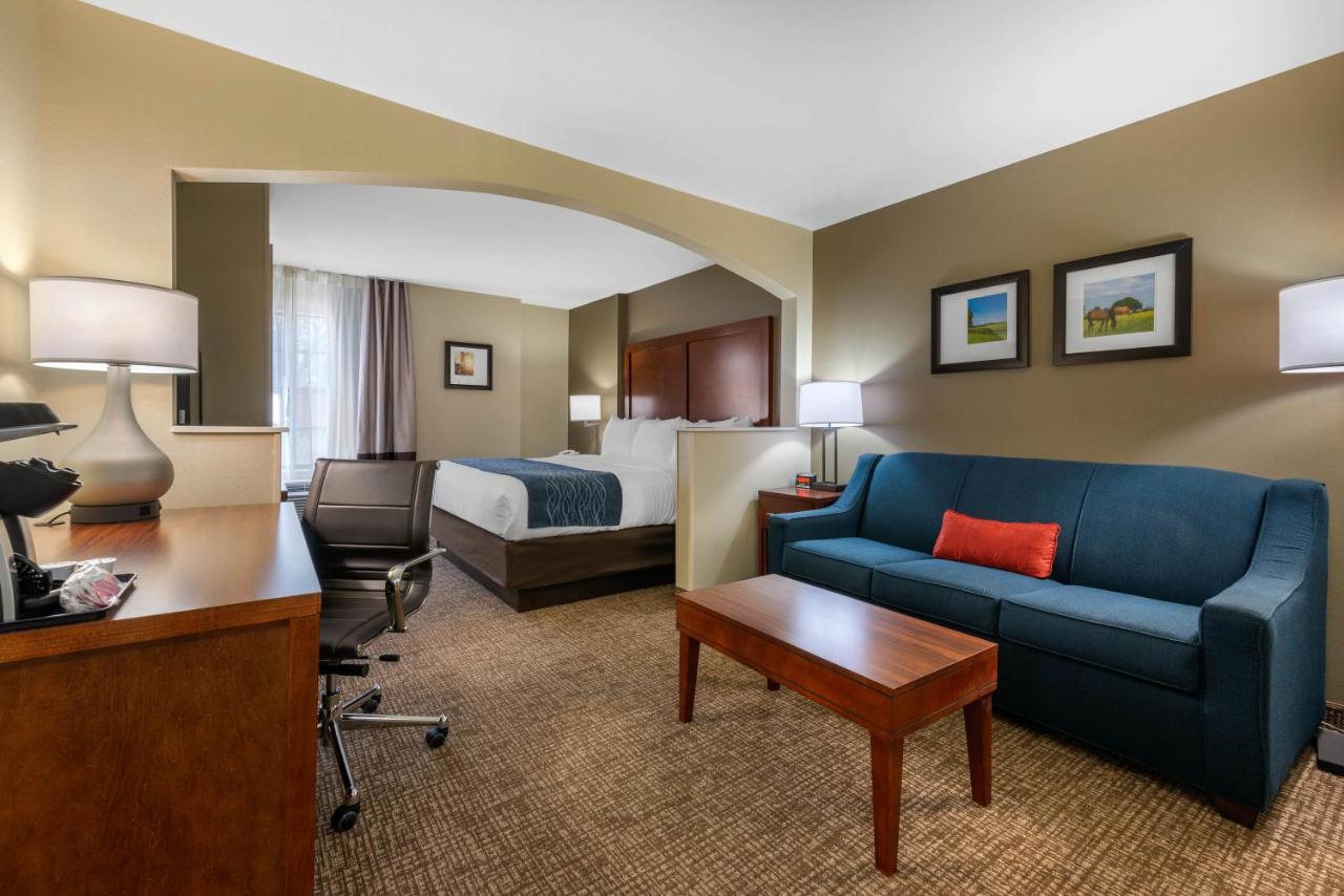 King Room with Sofa Bed - Non-Smoking at Comfort Inn Ocala Silver Springs