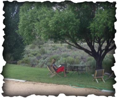 | Bullberry inn Bed & Breakfast
