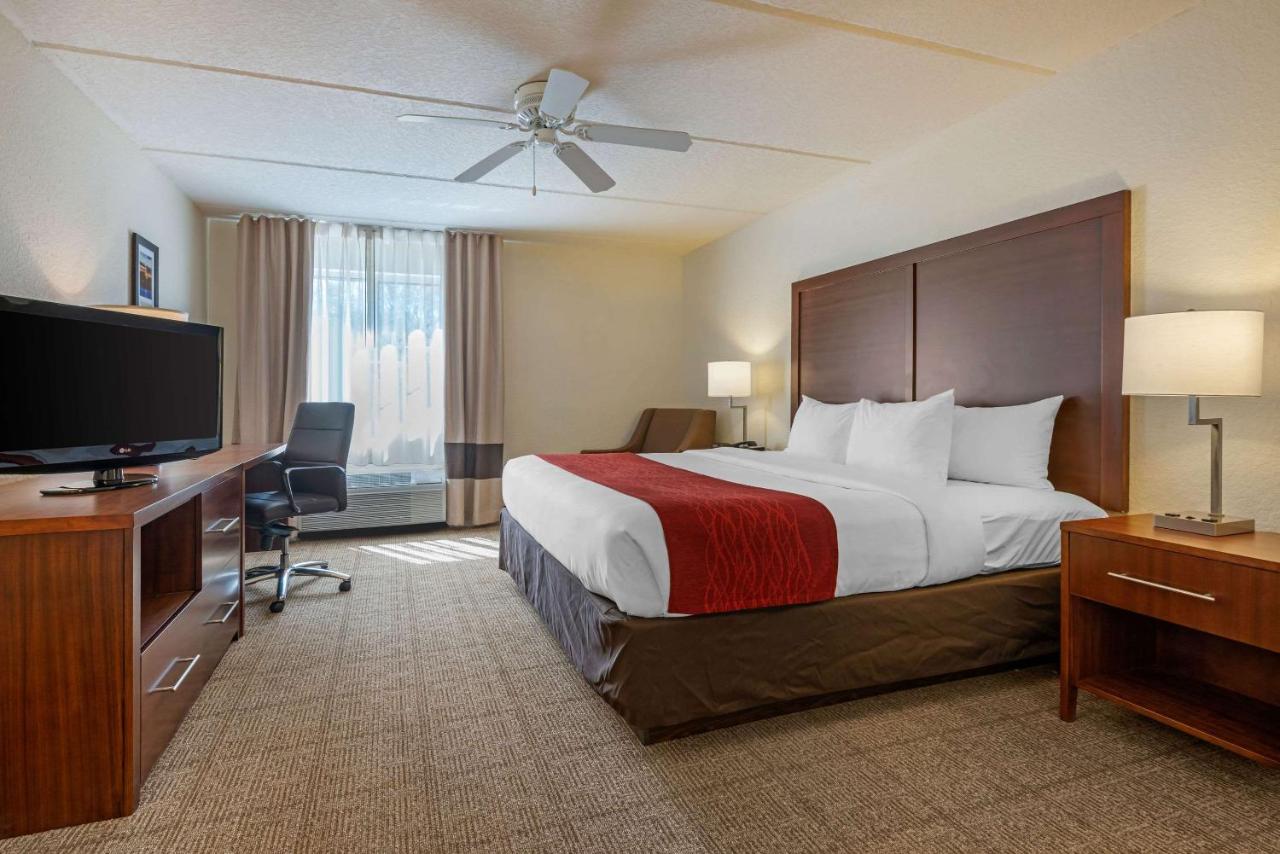 King Room with Sofa Bed - Non-Smoking at Comfort Inn Kissimmee-Lake Buena Vista South