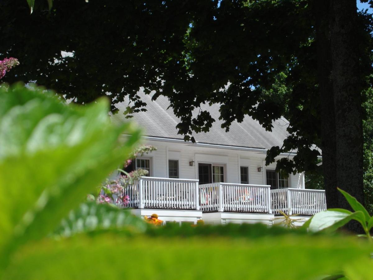 | Pink Blossoms Resort
