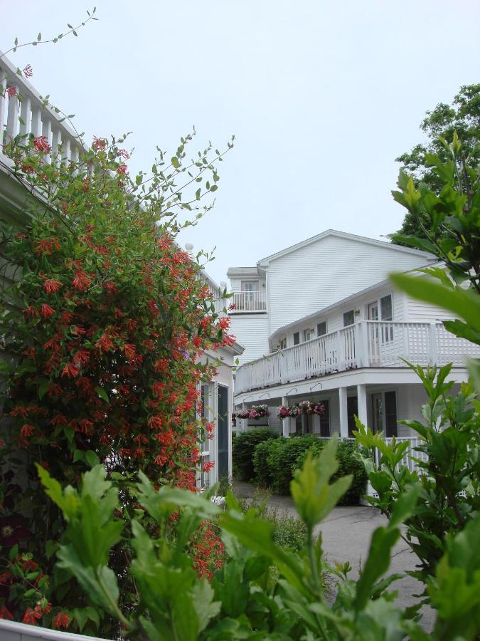 | Pink Blossoms Resort