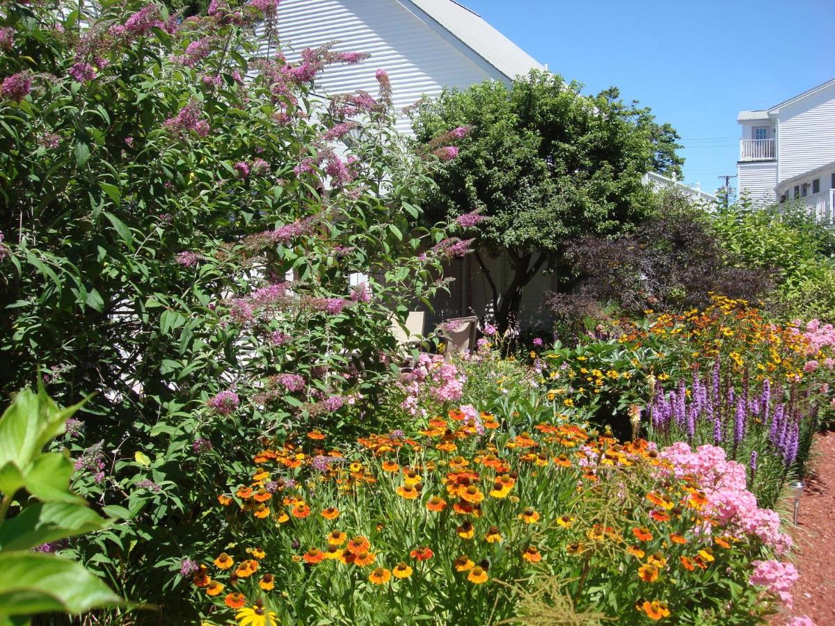 | Pink Blossoms Resort