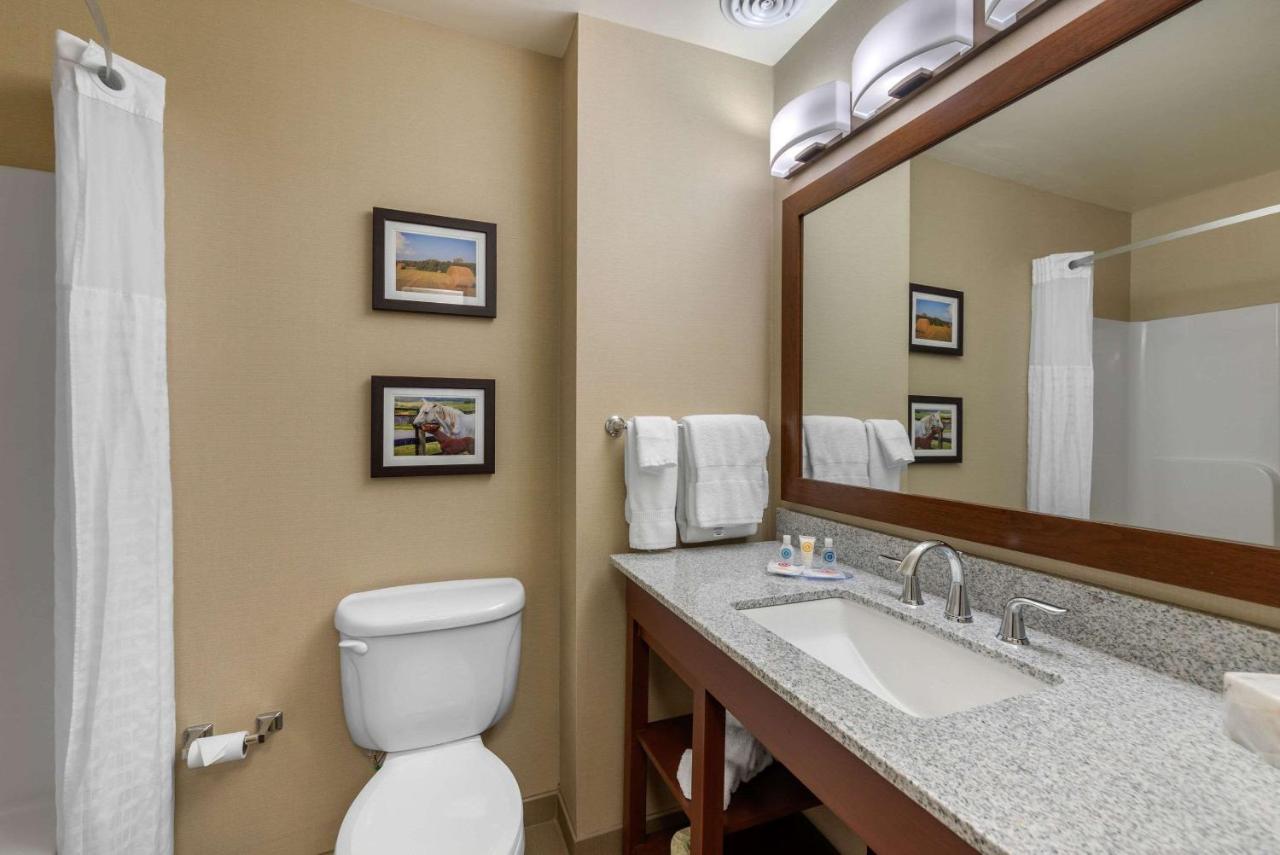 King Suite with Whirlpool - Non-Smoking at Comfort Inn & Suites Northern Kentucky