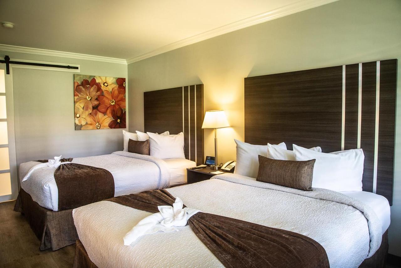 Queen Room with Two Queen Beds - Disability Access at Palm Garden Hotel
