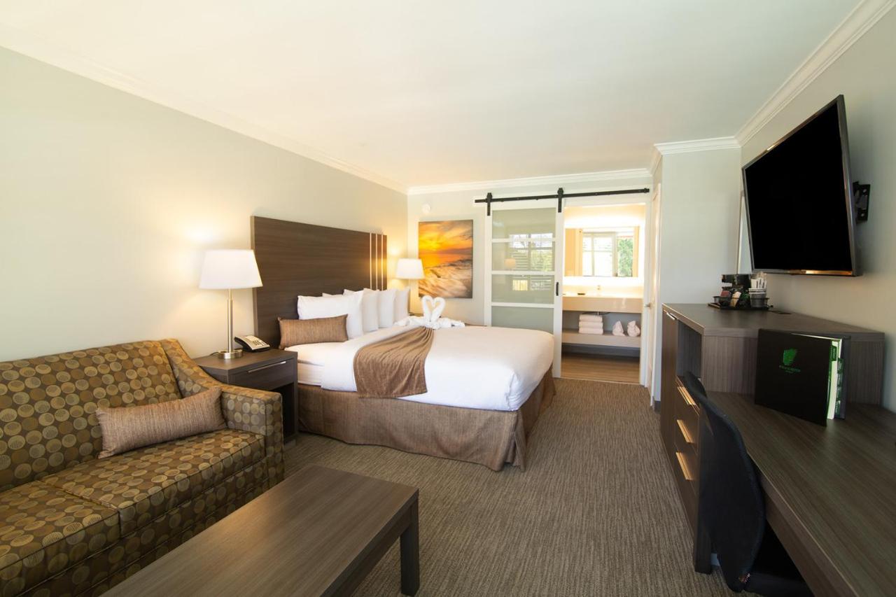 Courtyard King Room at Palm Garden Hotel