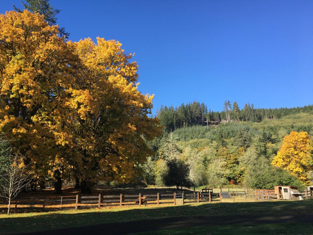 | The Cabins at Beaver Creek