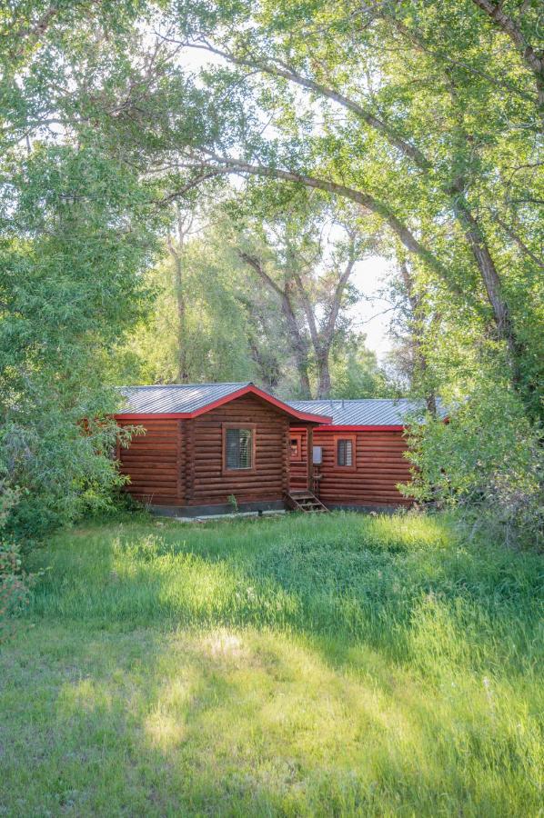 | Teton Valley Cabins