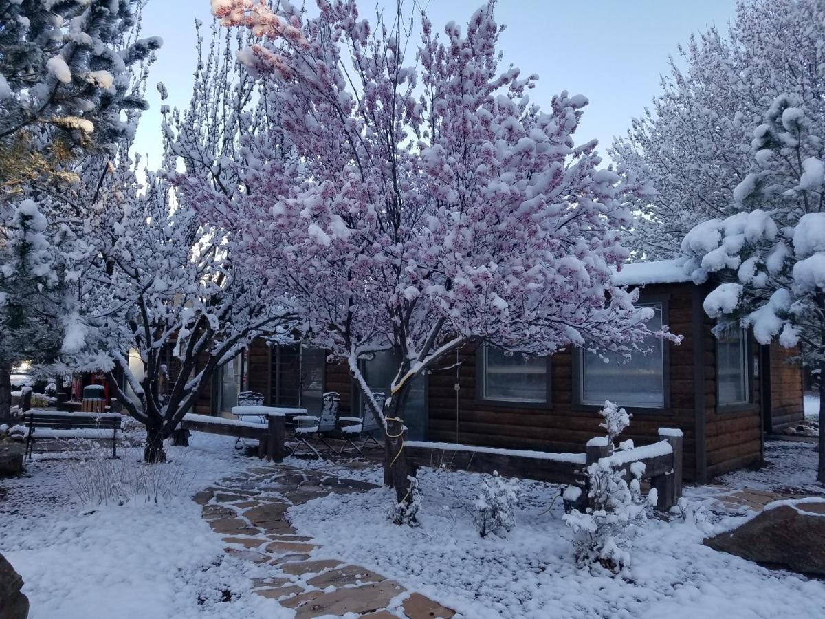 | West Winds Lodge