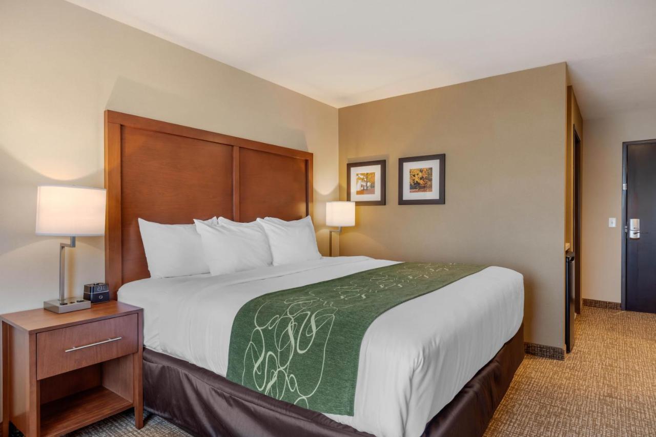 King Room - Non-Smoking at Comfort Inn & Suites Schenectady - Scotia