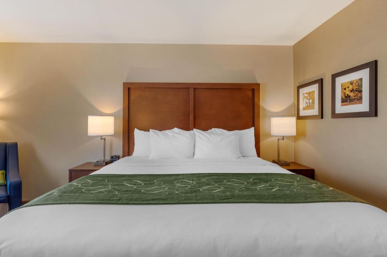 King Room - Non-Smoking at Comfort Inn & Suites Schenectady - Scotia