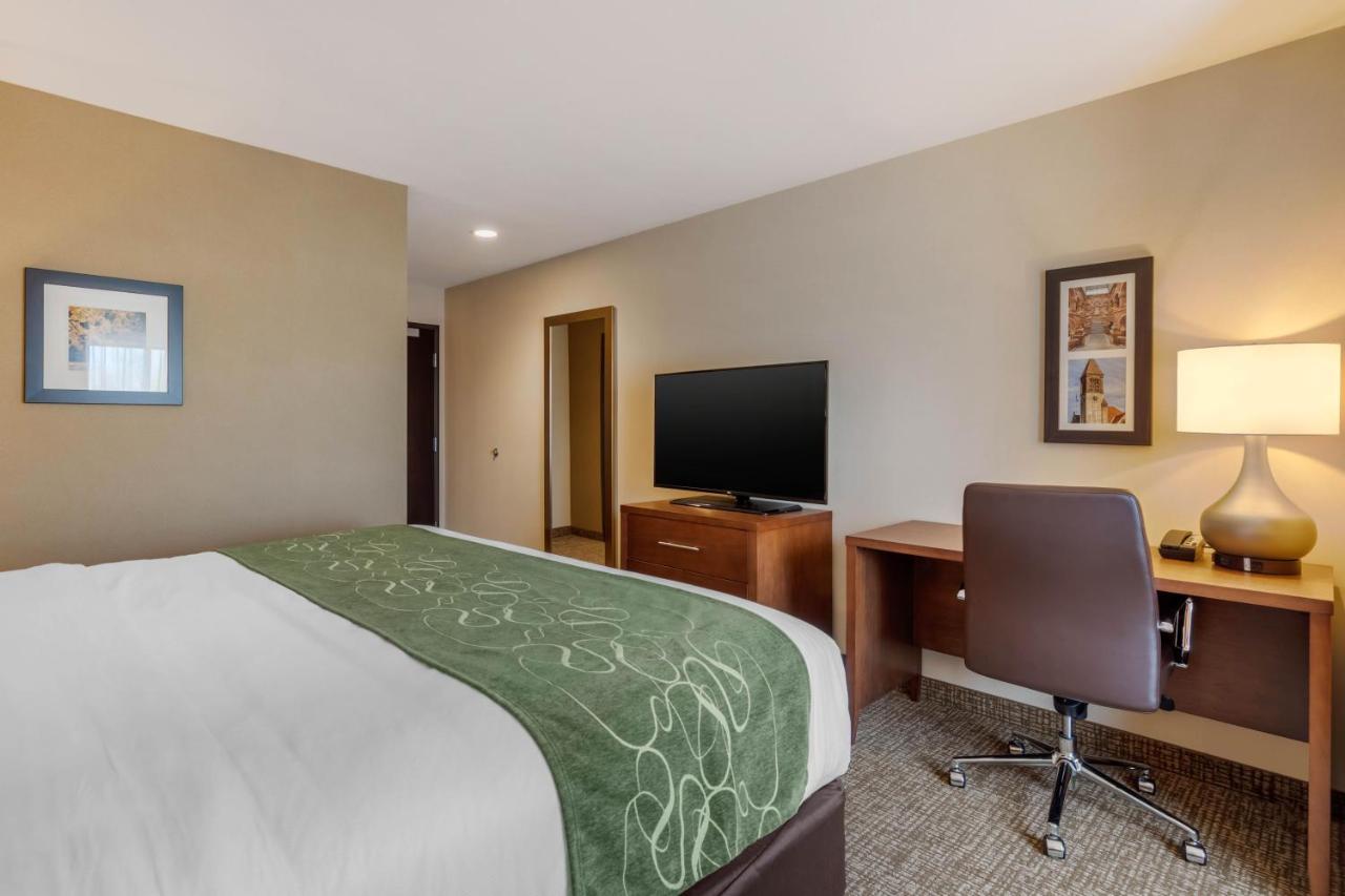 King Room - Non-Smoking at Comfort Inn & Suites Schenectady - Scotia
