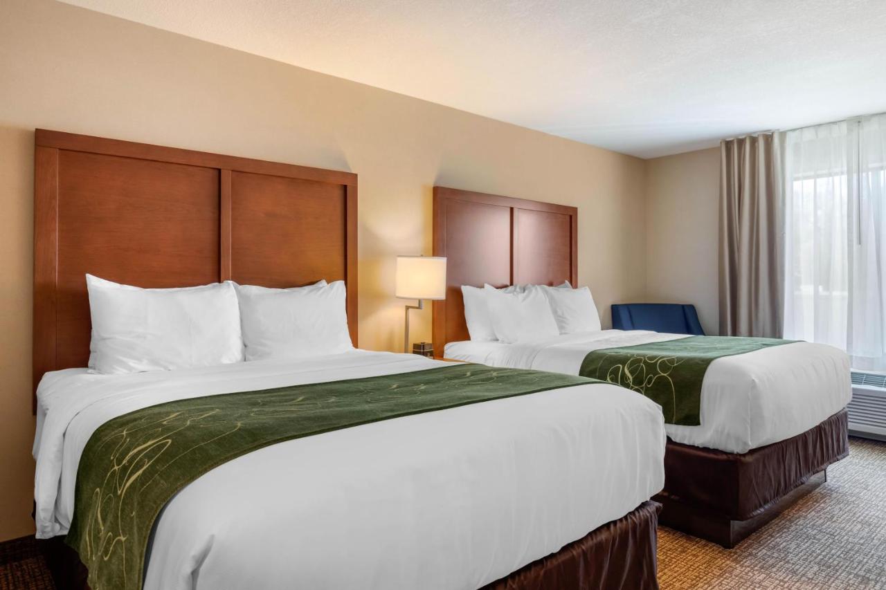Queen Room with Two Queen Beds - Accessible/Non-Smoking at Comfort Inn & Suites Schenectady - Scotia