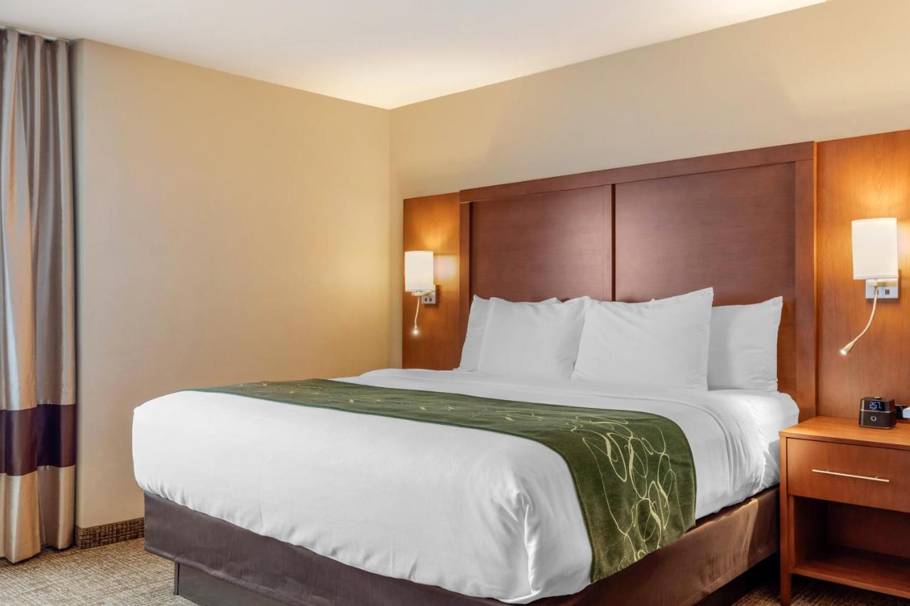 Superior King Suite with Sofa Bed - Non-Smoking at Comfort Inn & Suites Schenectady - Scotia