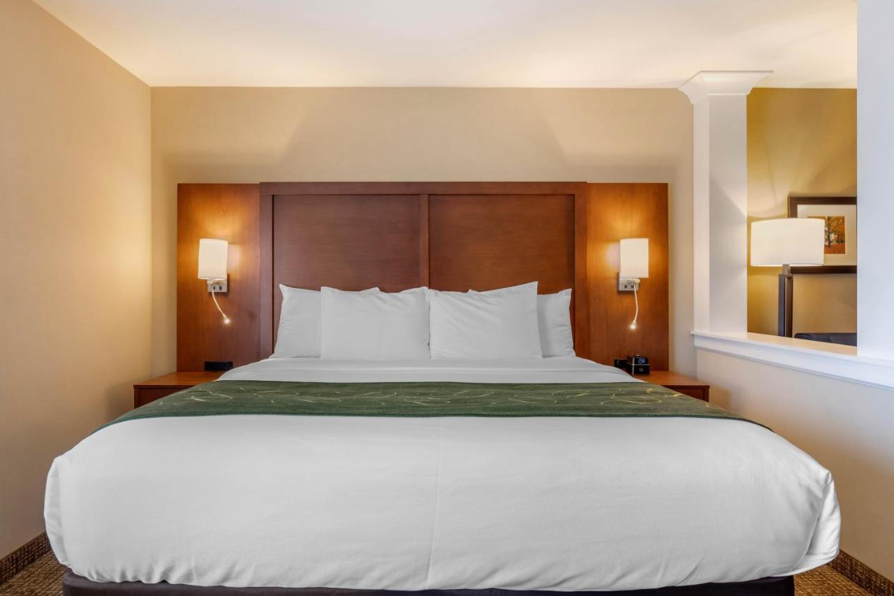 Superior King Suite with Sofa Bed - Non-Smoking at Comfort Inn & Suites Schenectady - Scotia