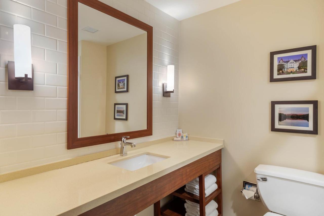 Superior King Suite with Sofa Bed - Non-Smoking at Comfort Inn & Suites Schenectady - Scotia