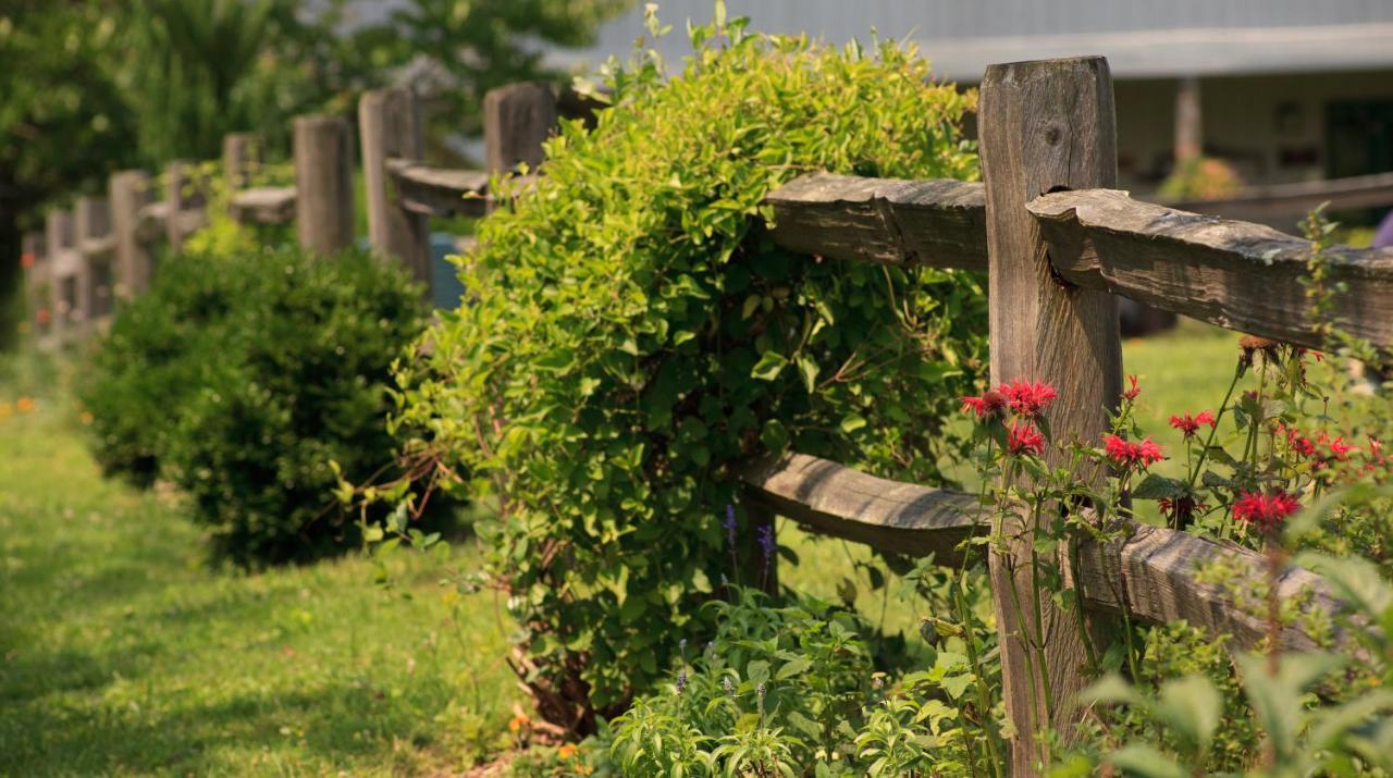 | Inn & Spa at Cedar Falls