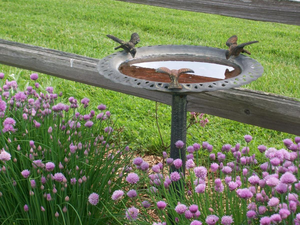 | Inn & Spa at Cedar Falls