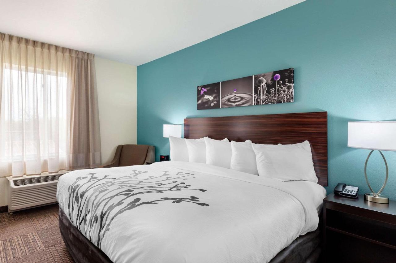 King Room - Accessible/Non-Smoking at Sleep Inn Lancaster Dallas South