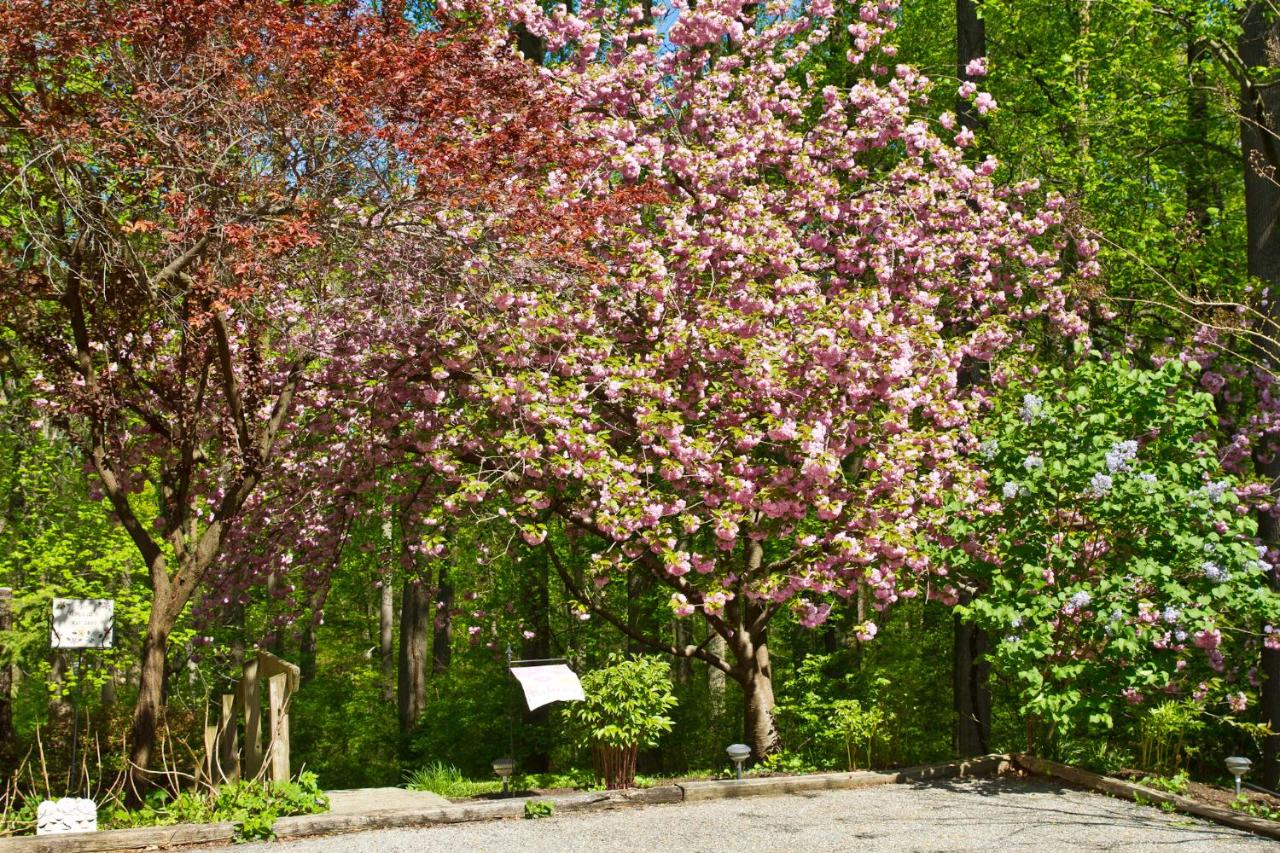 | Pilgrim's Rest Bed and Breakfast
