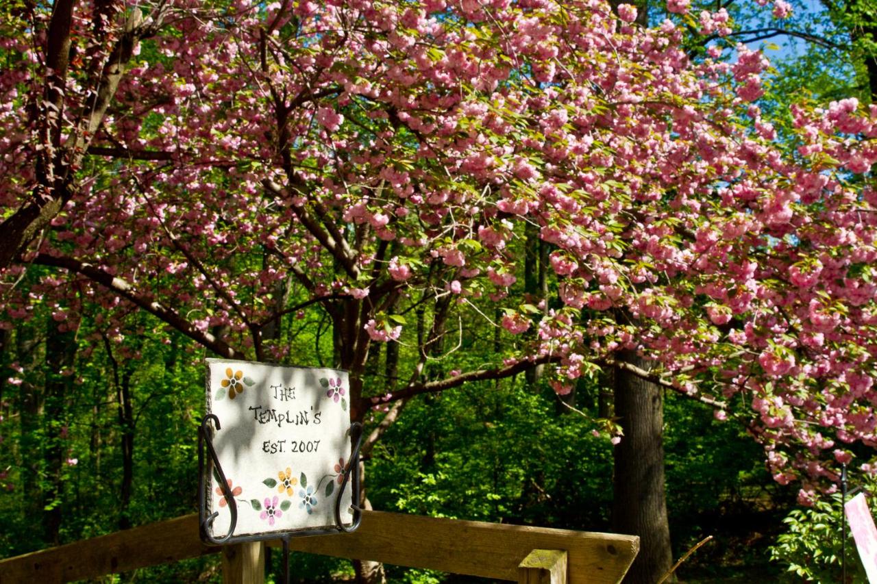 | Pilgrim's Rest Bed and Breakfast