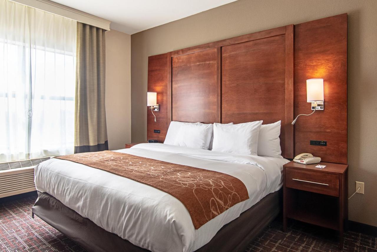 King Suite - Disability Access/Non-Smoking at Comfort Suites NW Dallas Near Love Field