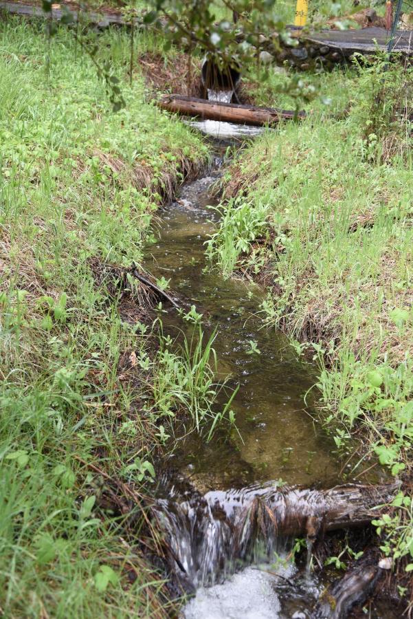 | 52 Tuolumne Meadow