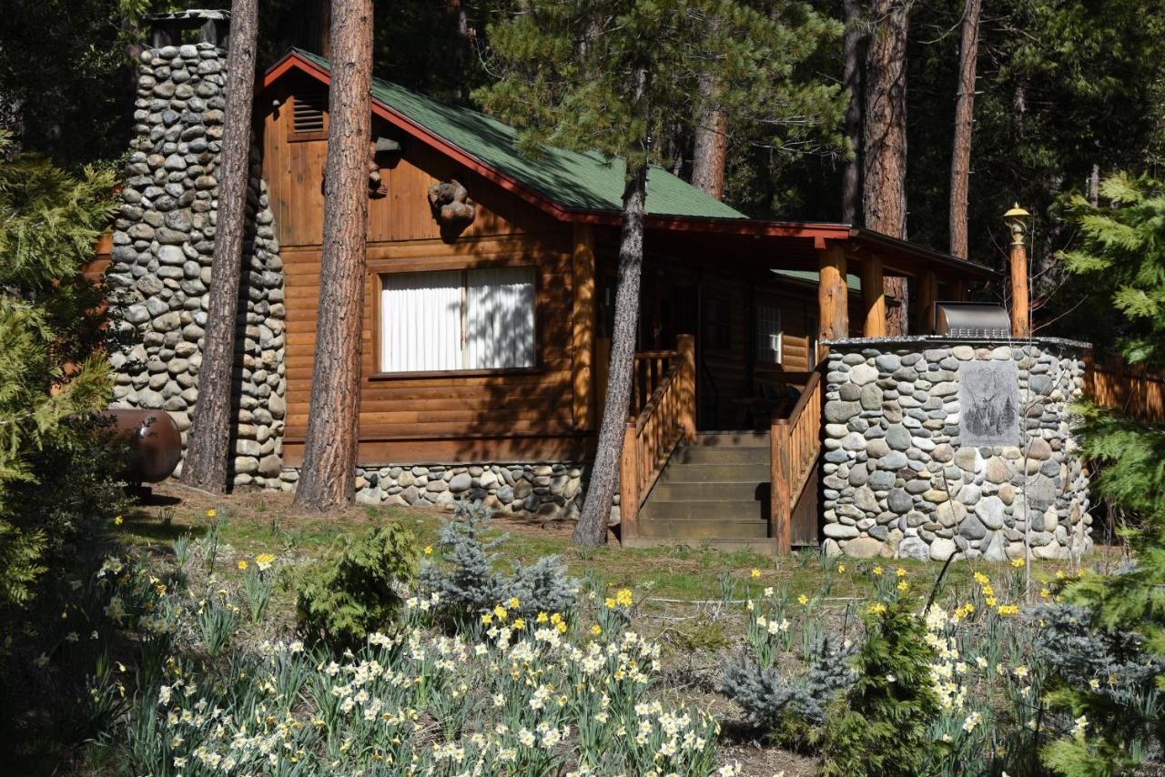 | 52 Tuolumne Meadow