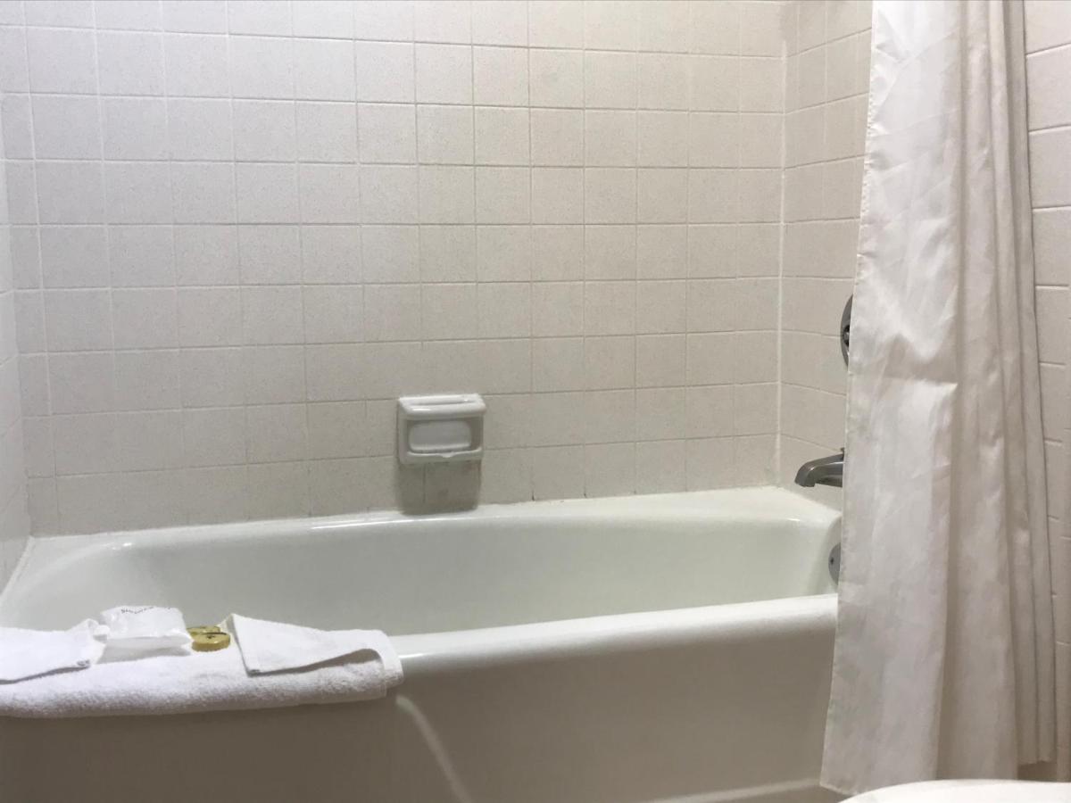 | Olive Tree Inn & Suites
