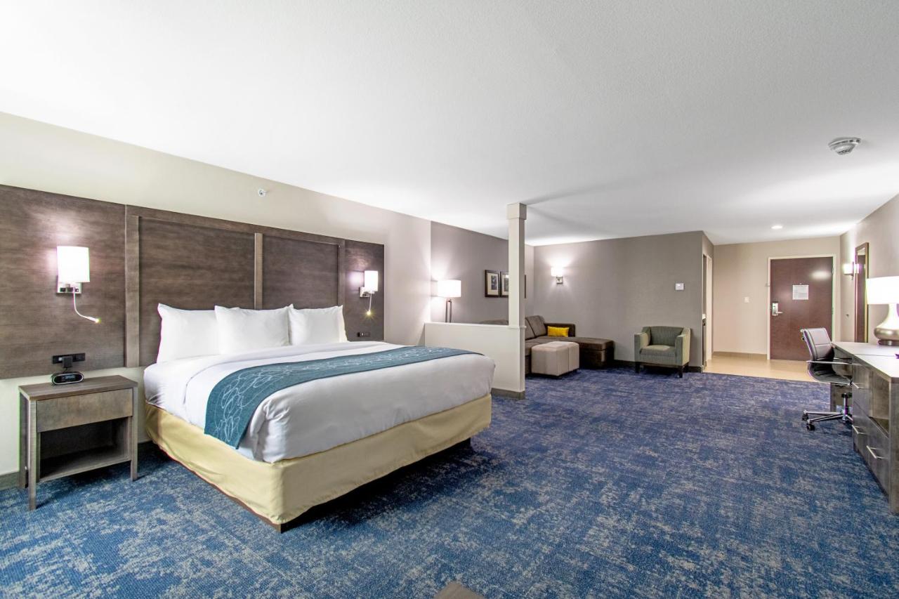 King Suite - Non-Smoking at Comfort Suites Humble Houston IAH