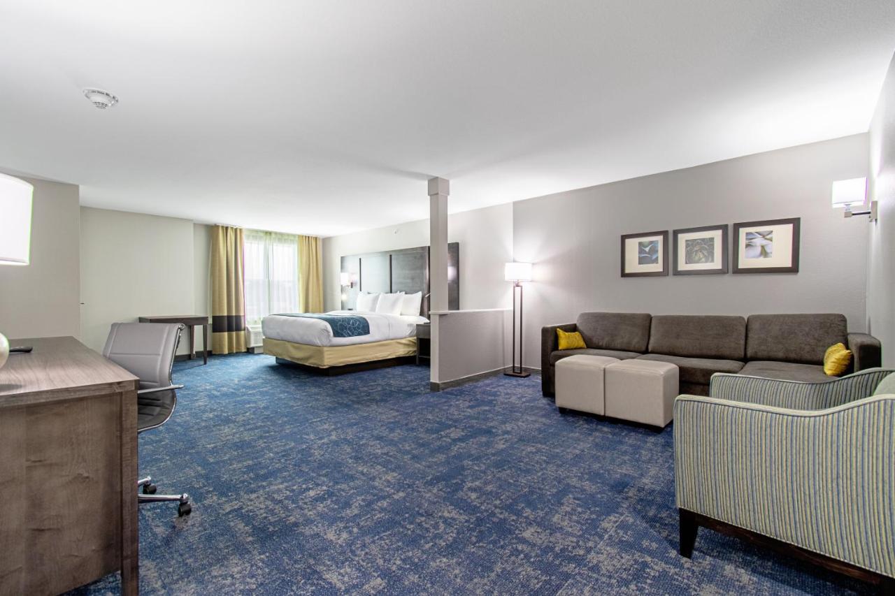 King Suite - Non-Smoking at Comfort Suites Humble Houston IAH