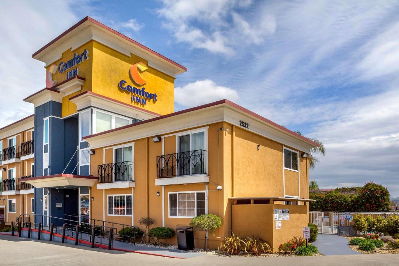 | Comfort Inn Castro Valley