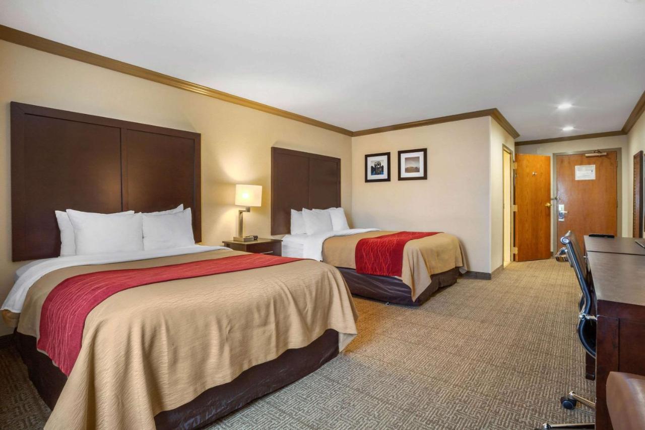 | Comfort Inn Castro Valley