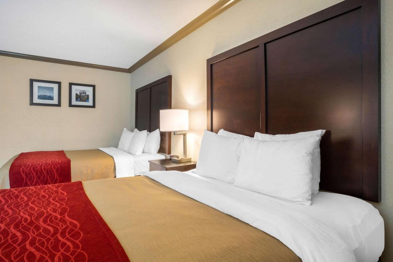 | Comfort Inn Castro Valley