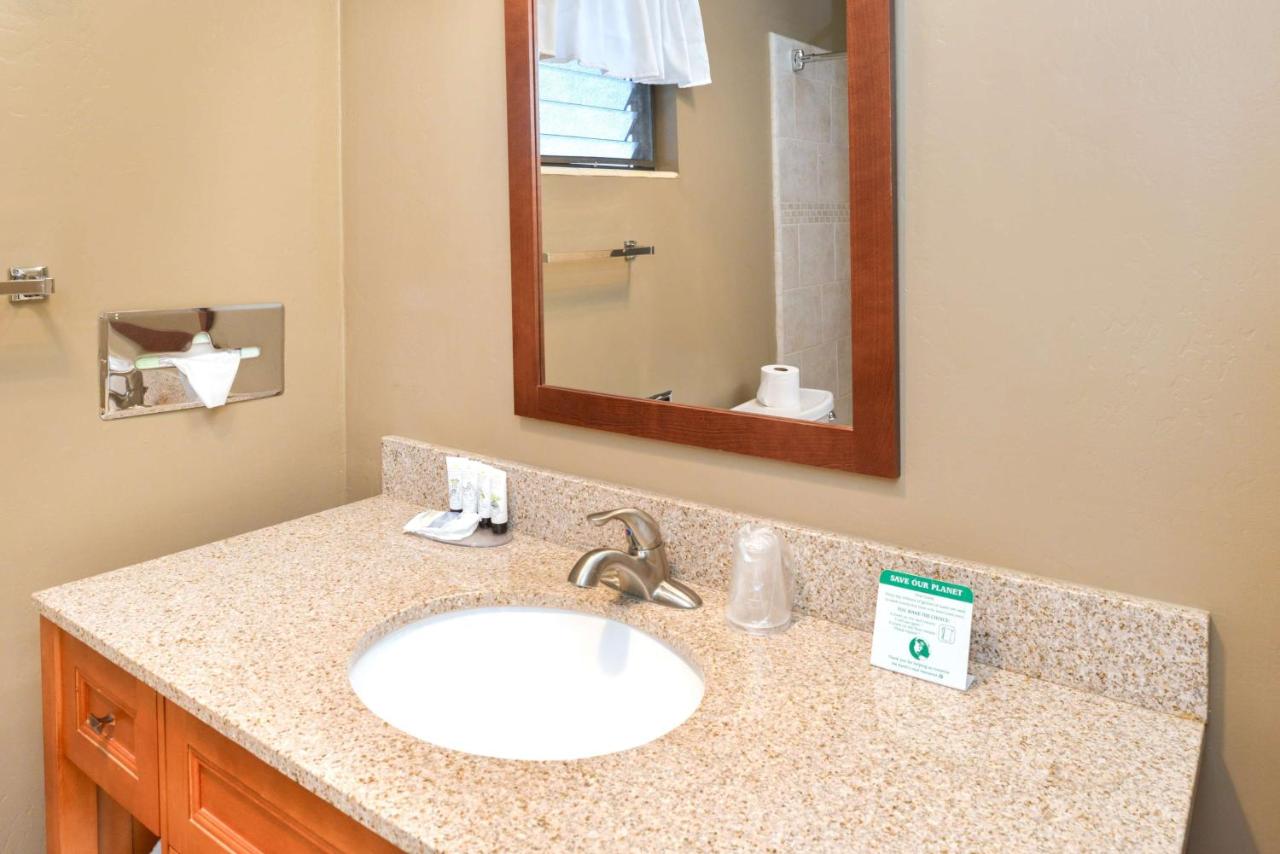 | Svendsgaard's Lodge- Americas Best Value Inn & Suites