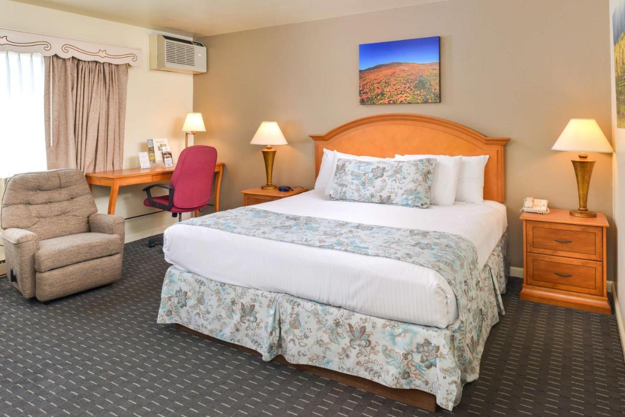 | Svendsgaard's Lodge- Americas Best Value Inn & Suites
