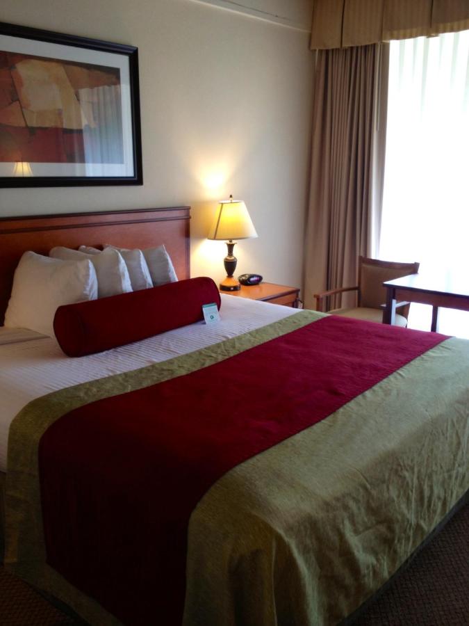 | Mikado Hotel