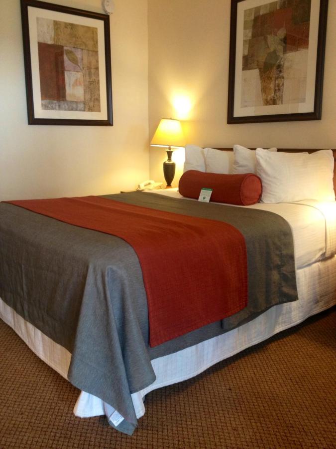 | Mikado Hotel