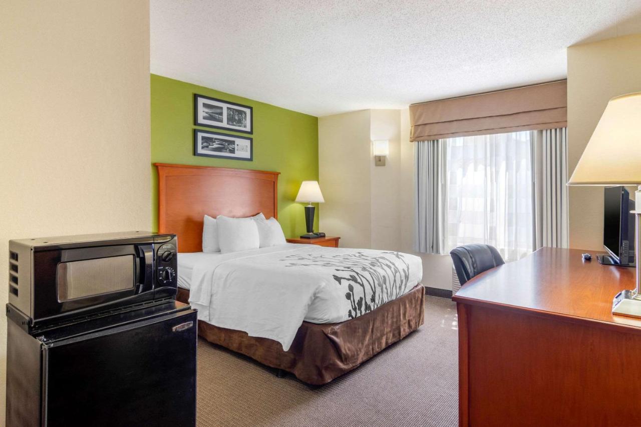 Queen Room - Accessible/Non-Smoking at Sleep Inn Macon I-75