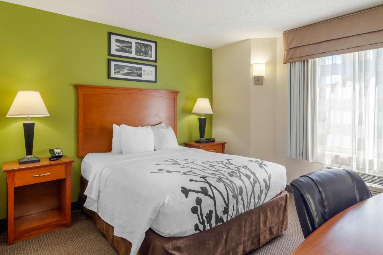 Queen Room - Accessible/Non-Smoking at Sleep Inn Macon I-75