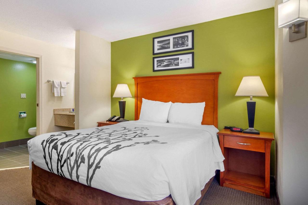 Queen Room - Non-Smoking at Sleep Inn Macon I-75