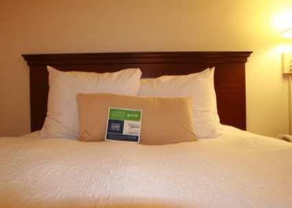 Standard Queen Non-Smoking at Quality Inn & Suites Searcy I-57