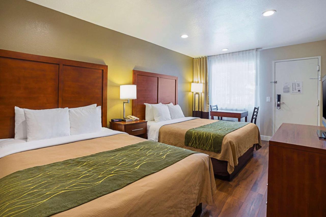 Room #48913809 at Comfort Inn Bishop