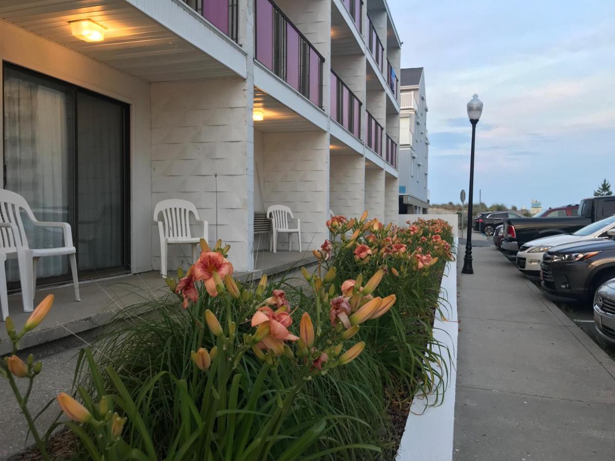 | Simple Life Motel
