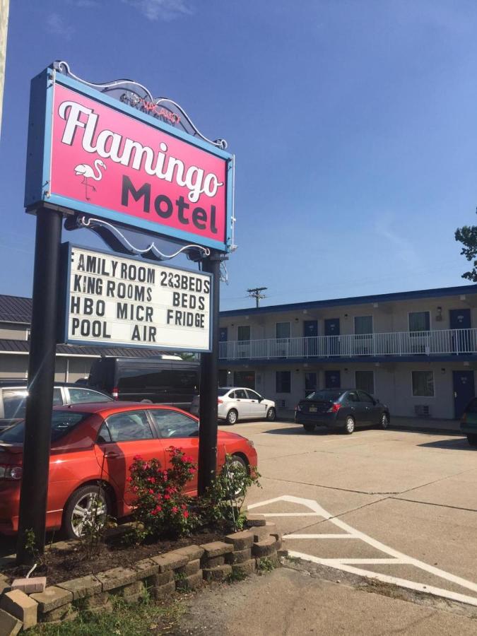 | Flamingo Motel
