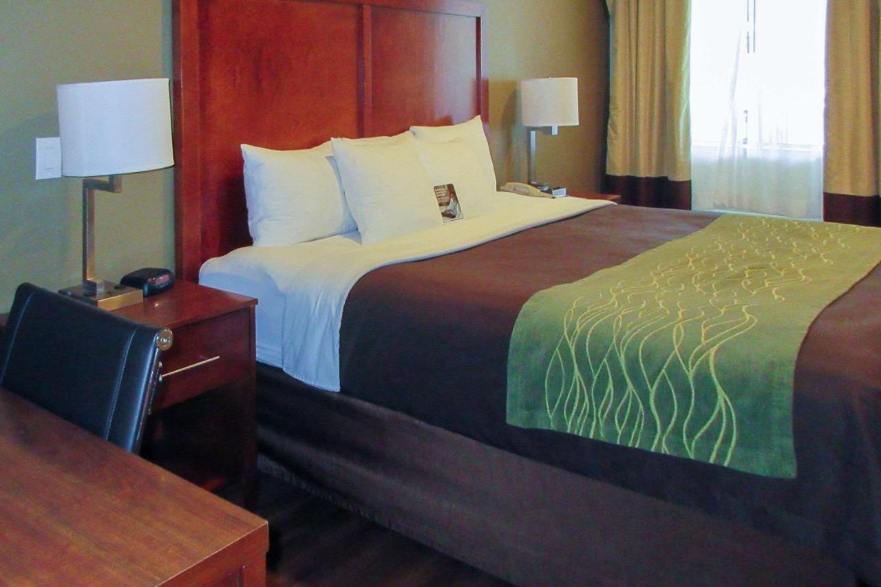 King Room - Non-Smoking at Comfort Inn Bishop