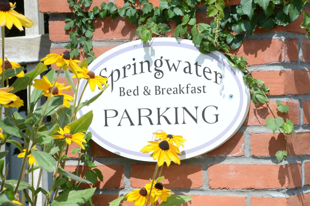  | The Springwater Bed and Breakfast