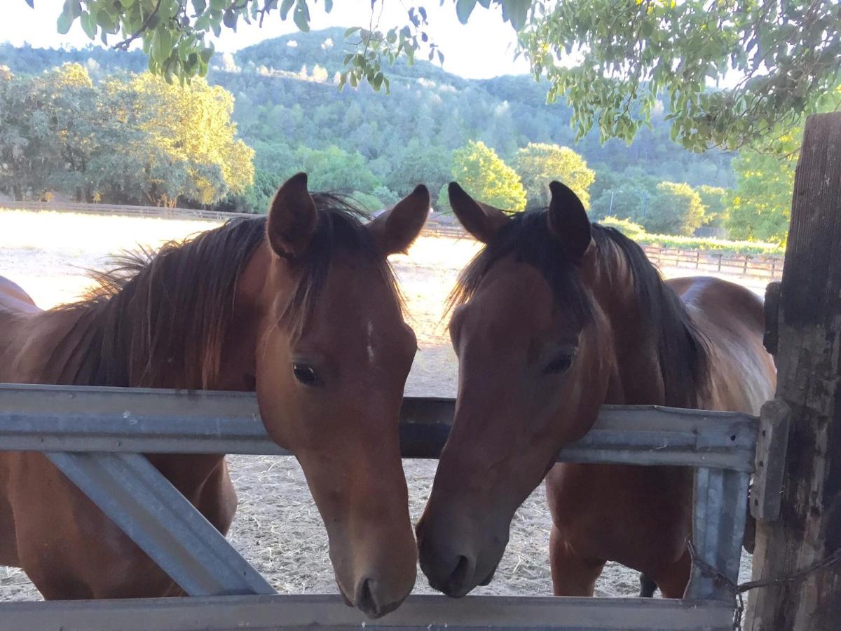 | Rustridge Ranch & Winery