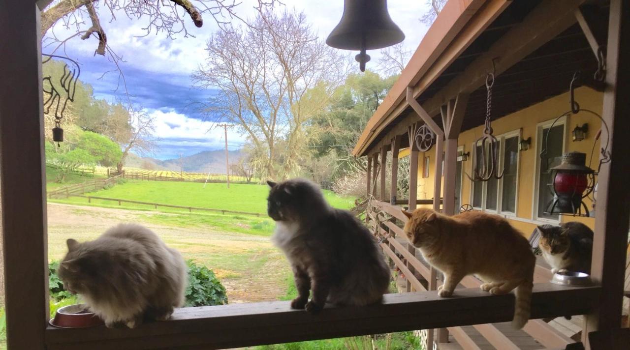 | Rustridge Ranch & Winery