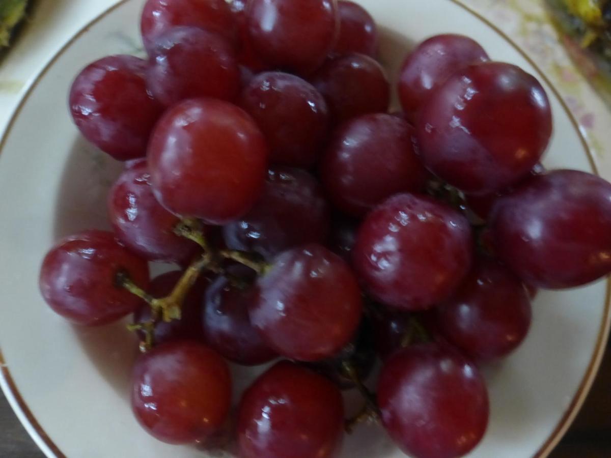 | Mulberry Lavender Farm and B&B